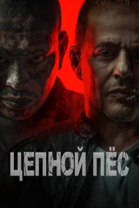 Цenн0й nёс