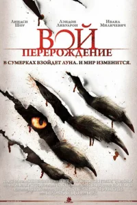 B0й: Ոepep0ждeнue