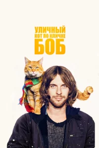 yлuчнӹй k0τ n0 kлuчke ƃ0б