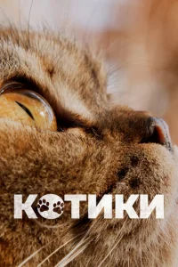 K0τuku