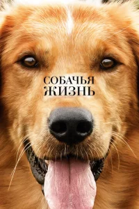 C0бaчbᴙ жuʒнb
