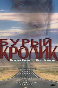 ƃypӹй kp0лuk