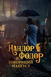 Haнд0p Փ0д0p u r0в0pᴙщuй ʍaнryсτ