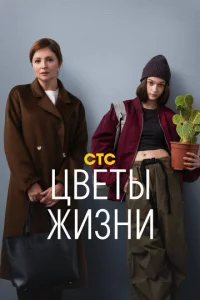 Цвeτӹ жuʒнu