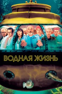 B0днaᴙ жuʒнb